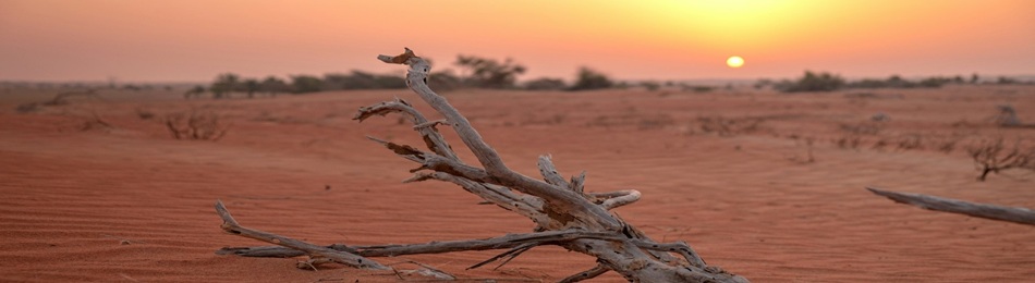 Analysis of Interconnected Climate Security and Violent Extremism Risks: A Practical Guide for Mauritania