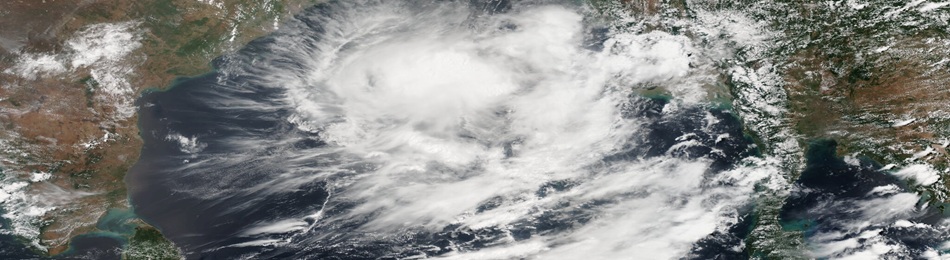 Climate resilience reimagined: Integrating concepts of human and ecological security in South Asia