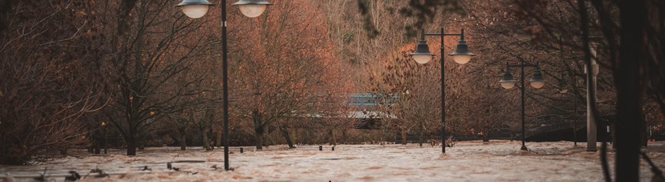 Economic losses from weather- and climate-related extremes in Europe