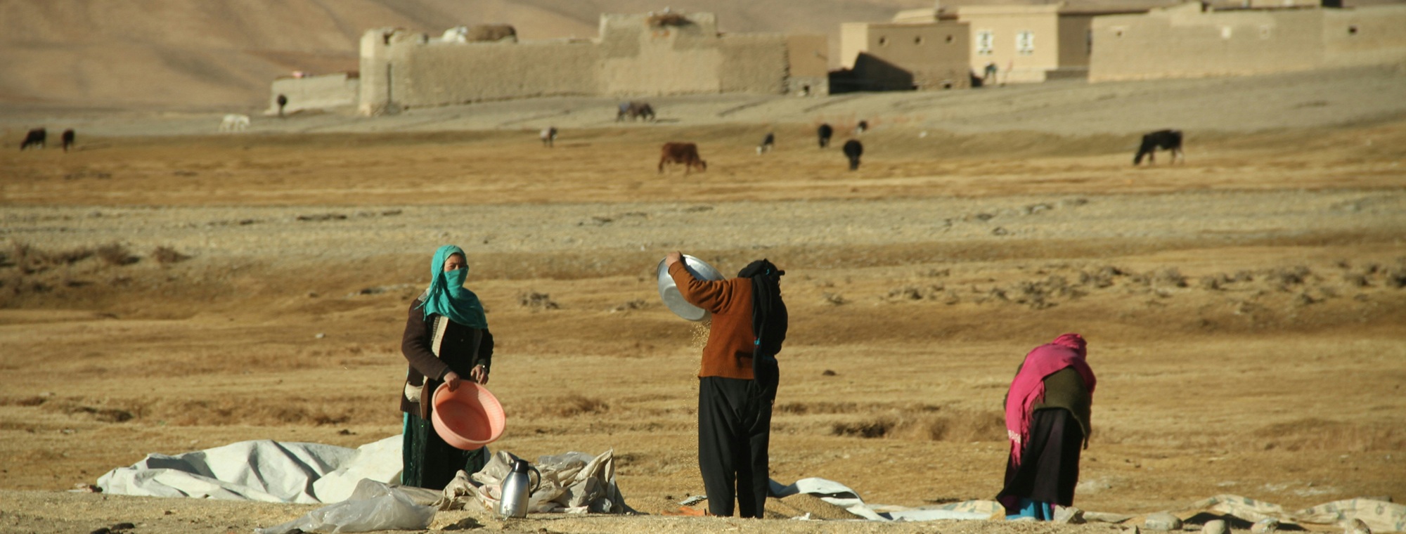 Climate, Peace, and Security Fact Sheet: Afghanistan