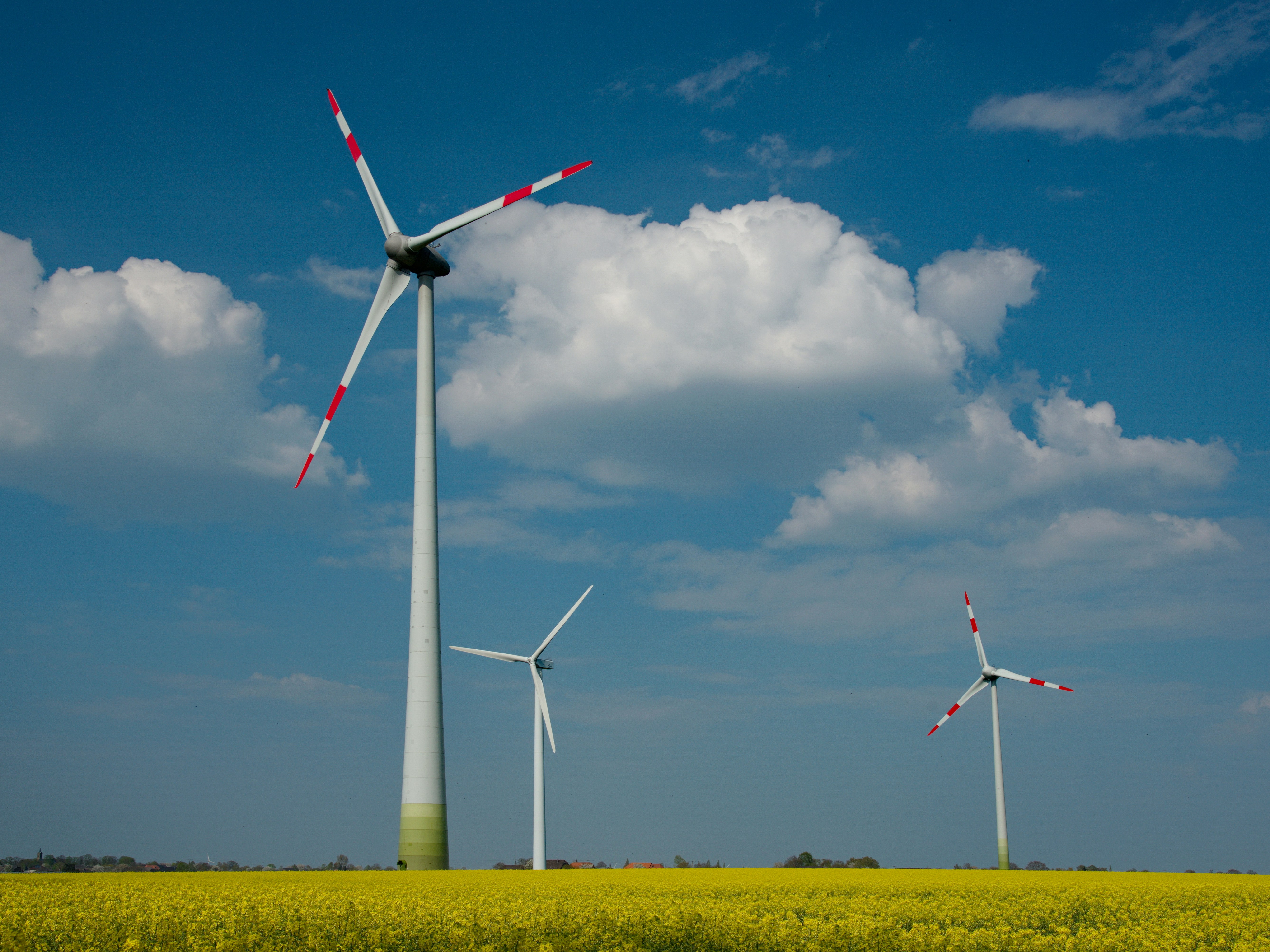 Does geopolitical risk accelerate climate vulnerability? New  evidence from the European Green Deal 