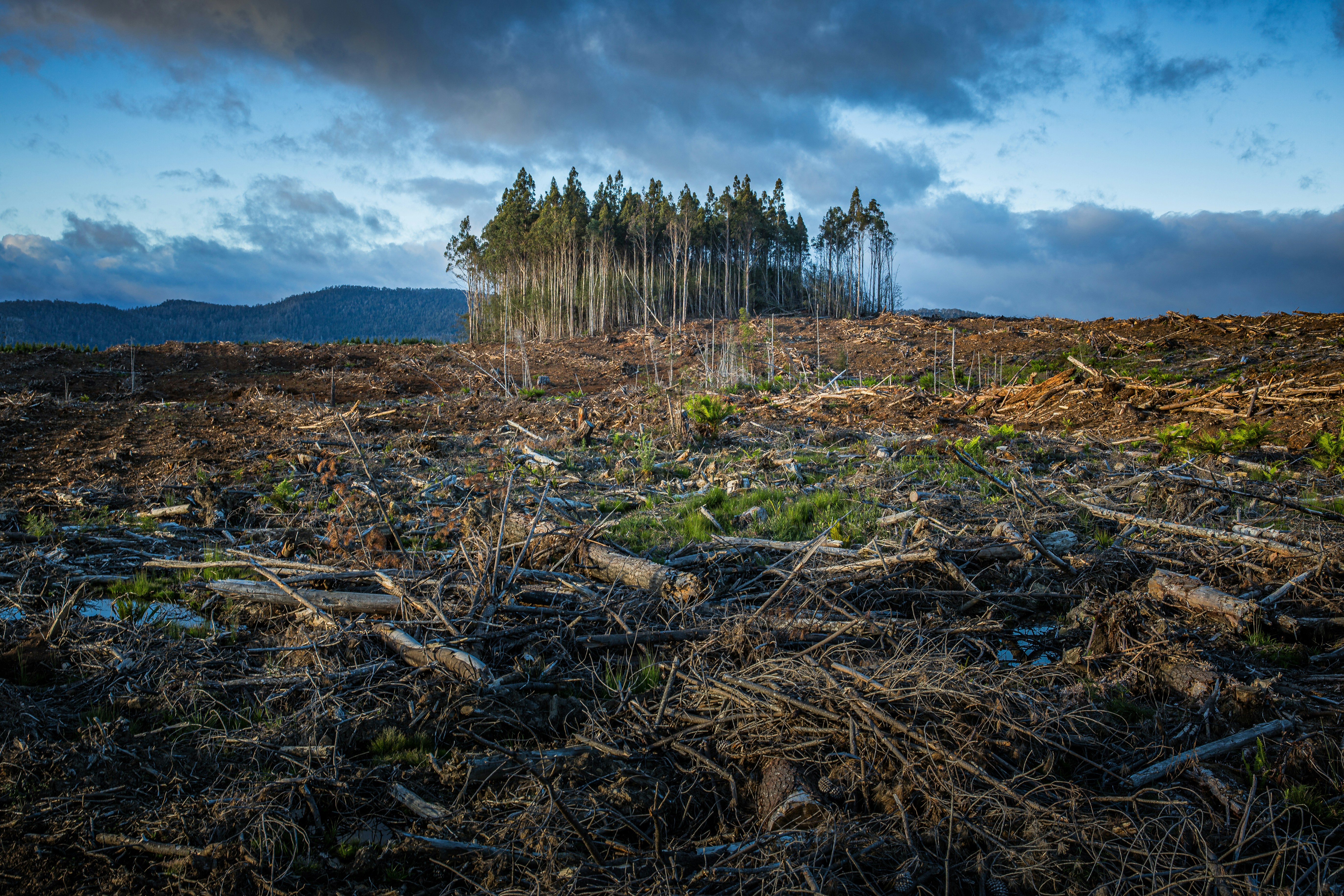 The macroeconomic case for investing in climate adaptation