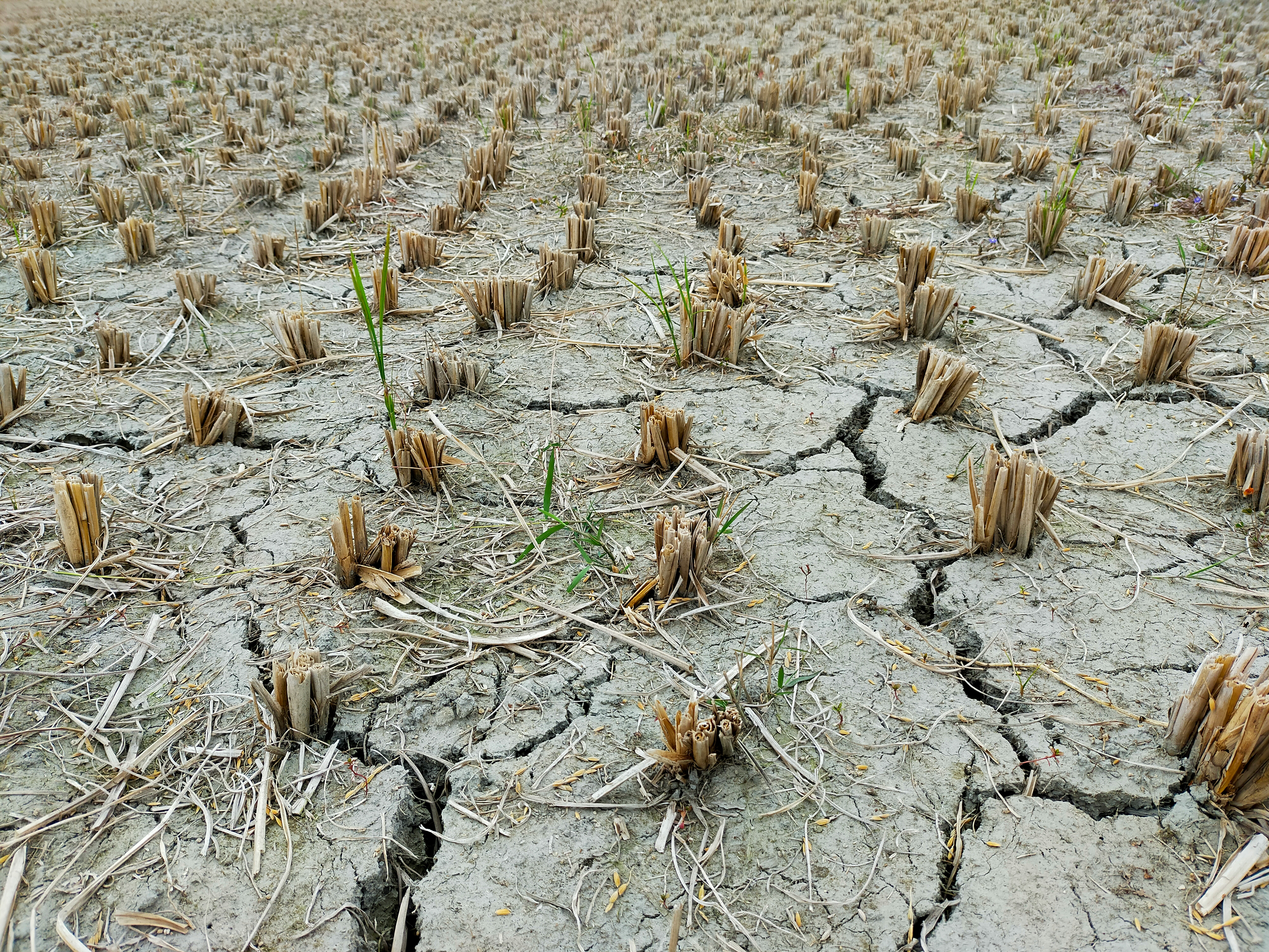 Reframing the Conversation on Climate Intervention and Security