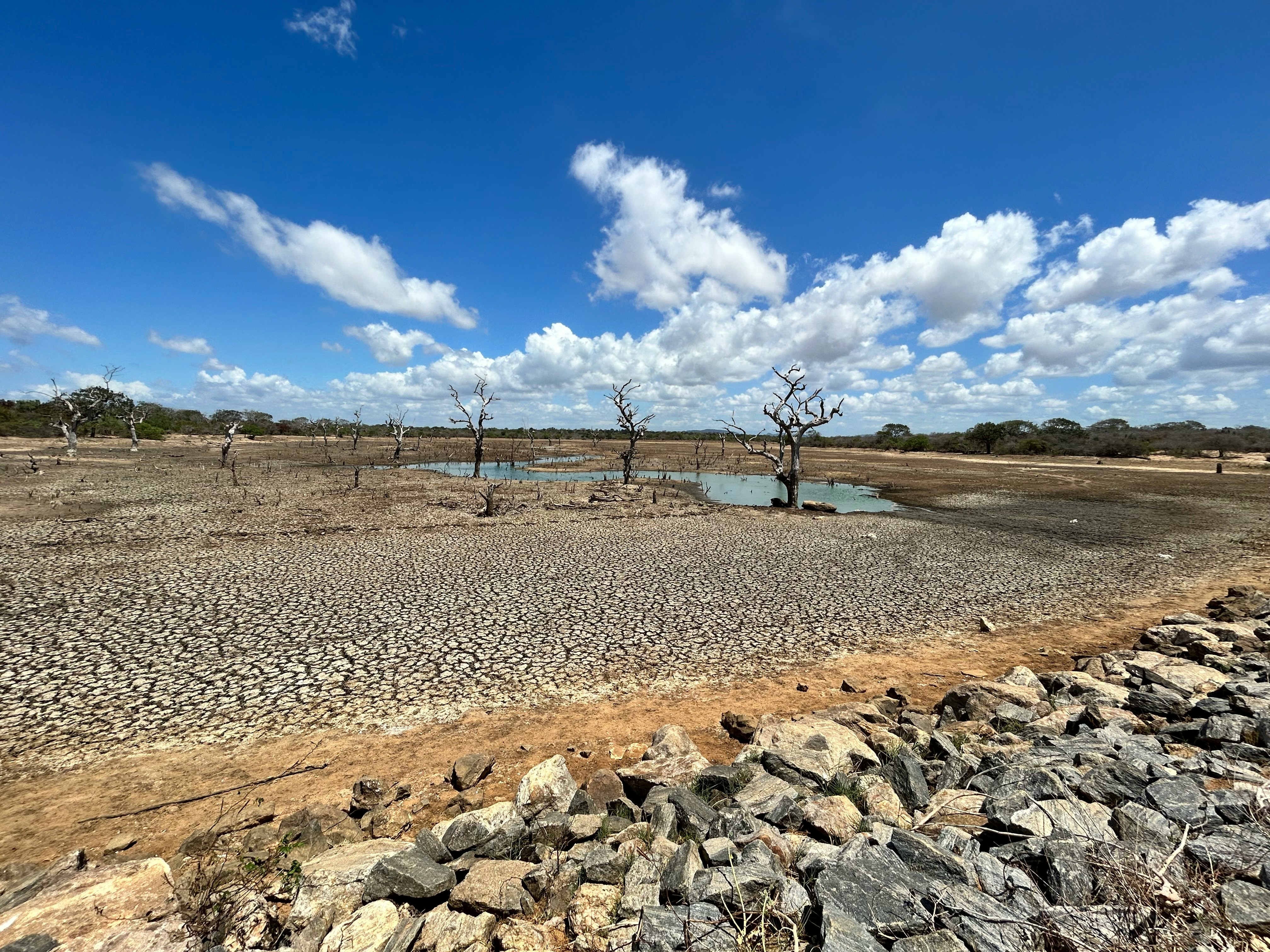 The drought nexus: How food security, conflicts, land and water are interlinked
