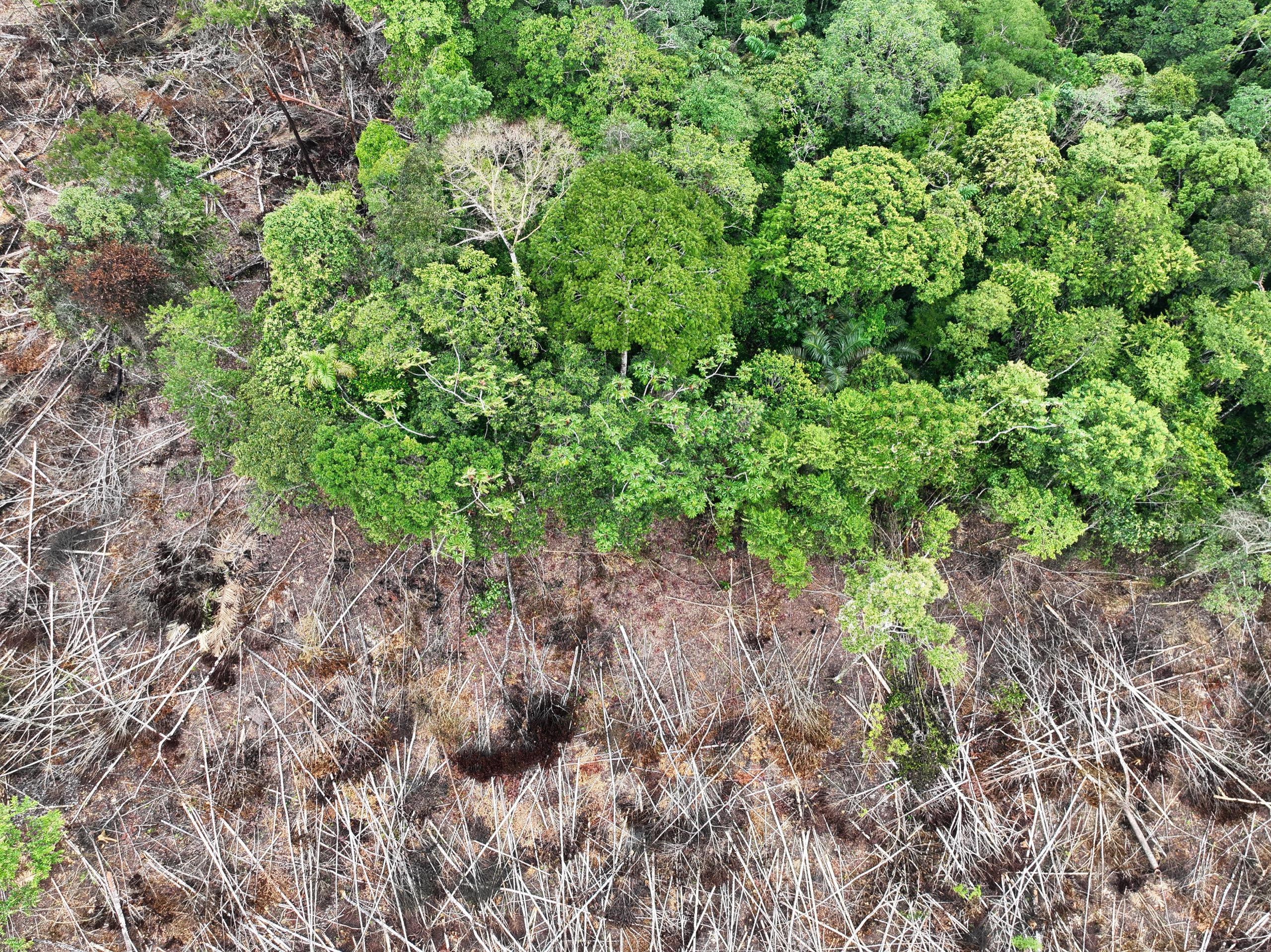 The problem with biofuels as a response to the Gulf energy supply shock