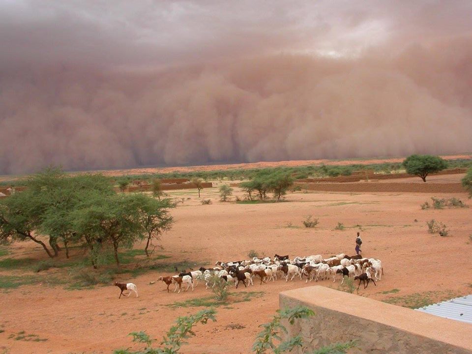 sandstorm