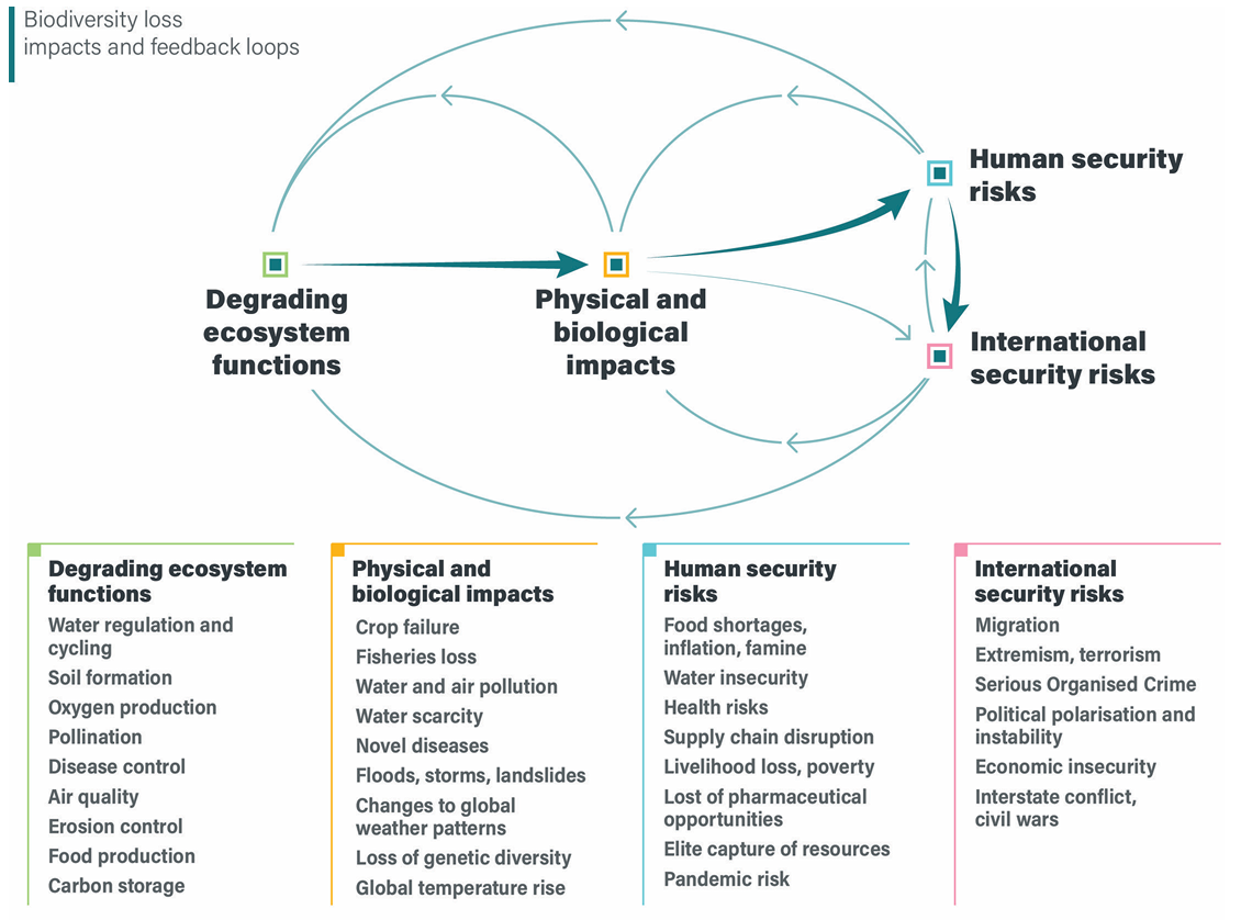 Figure 1 – Shows the interconnectedness of biodiversity loss and UK national security. Excerpt of page 6 of the report.