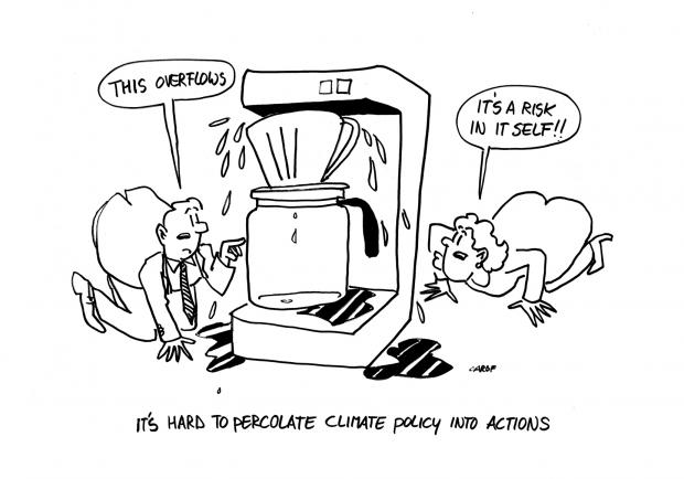 Cartoon 13