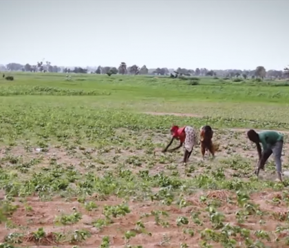 How to ensure Food Security in times of Climate Change?