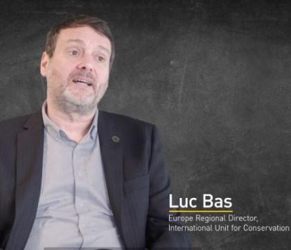 PSC - Interview with Luc Bas