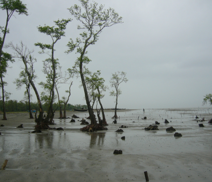 New report: climate security in the Bay of Bengal