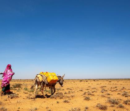 An integrated approach to climate security & peacebuilding in Somalia