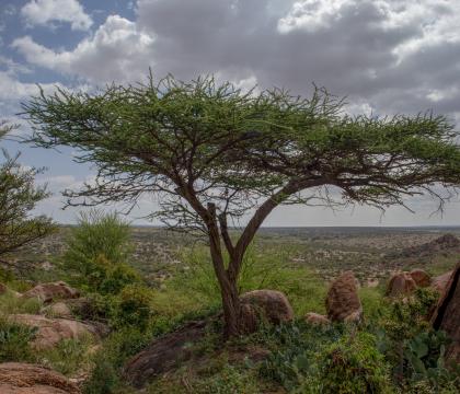 Climate and environmental justice in Somalia: Interview with Hassan Yasin 
