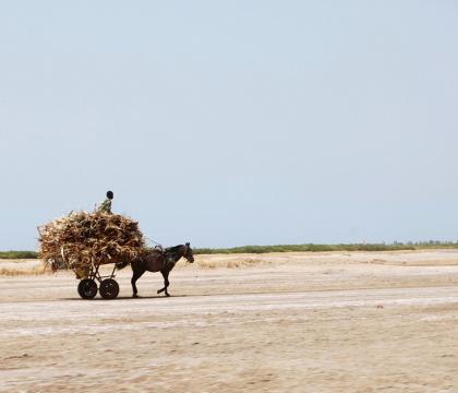 Climate stress & civilian targeting in the Sahel: Between violence & opportunity