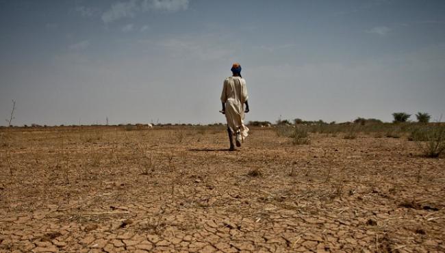 Environmental Peacemaking in the Liptako Gourma: What have we learned so far?