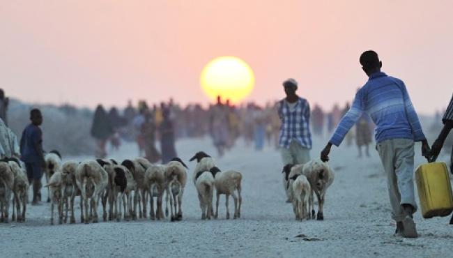 Adapting to survive: climate change and famine in Somalia