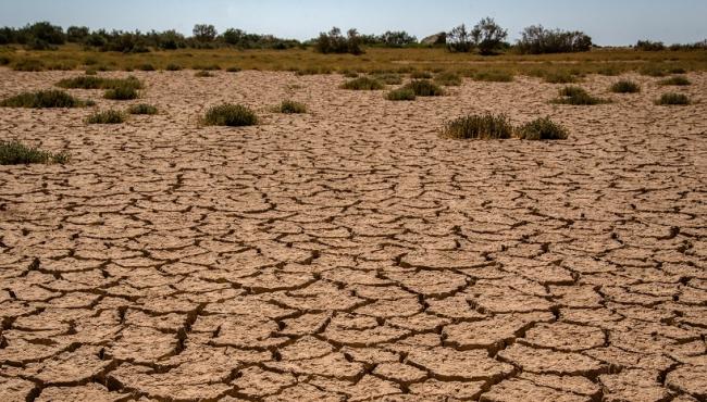 Making Adaptation Work: Addressing the compounding impacts of climate change, environmental degradation and conflict in the Near and Middle East