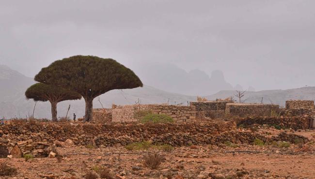 Climate Change and Regional Instability in the Middle East