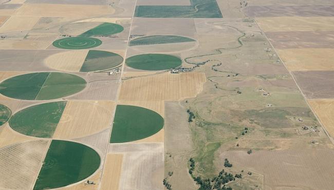 Promoting peace through climate-resilient food security initiatives