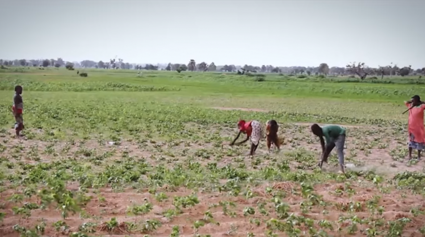 How to ensure Food Security in times of Climate Change?