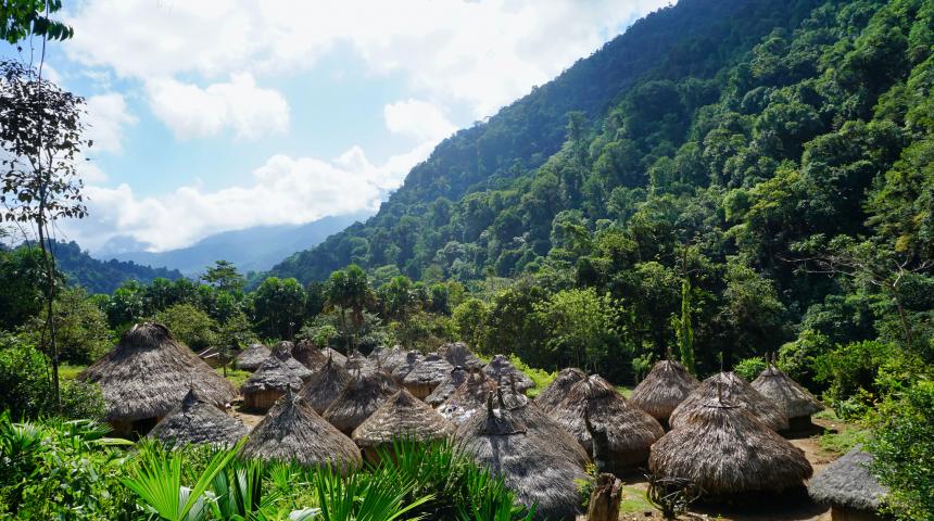 A broken canopy: Deforestation and conflict in Colombia